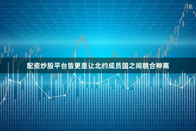 配资炒股平台皆更是让北约成员国之间貌合神离