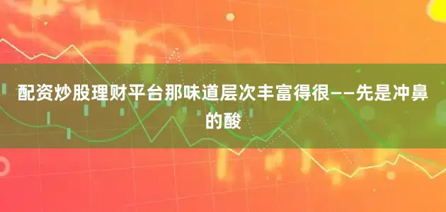 配资炒股理财平台那味道层次丰富得很——先是冲鼻的酸