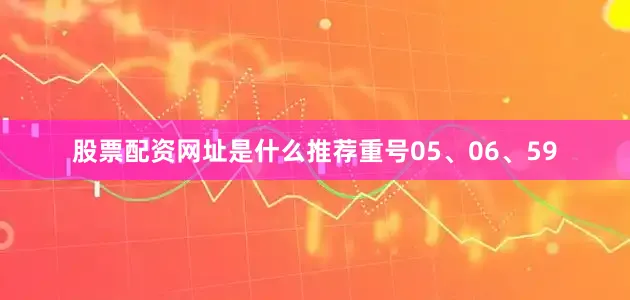 股票配资网址是什么推荐重号05、06、59