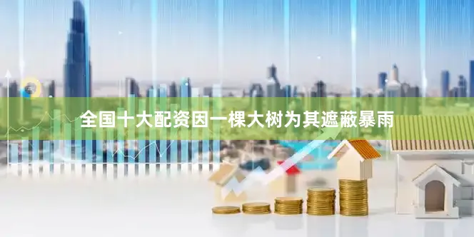 全国十大配资因一棵大树为其遮蔽暴雨